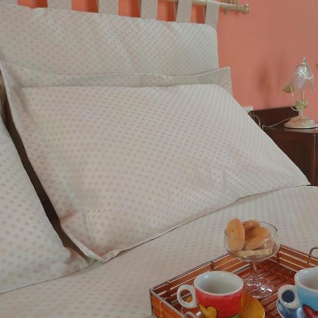 Bed and Breakfast Le Acacie Torreano Esterno foto